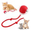 Pelota Interactiva Eléctrica para Gatos y Perros Rojo USB Automática 360°