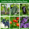 Garden Arch Cucumber Trellis for Raised Bed, U-Shape Garden Trellis