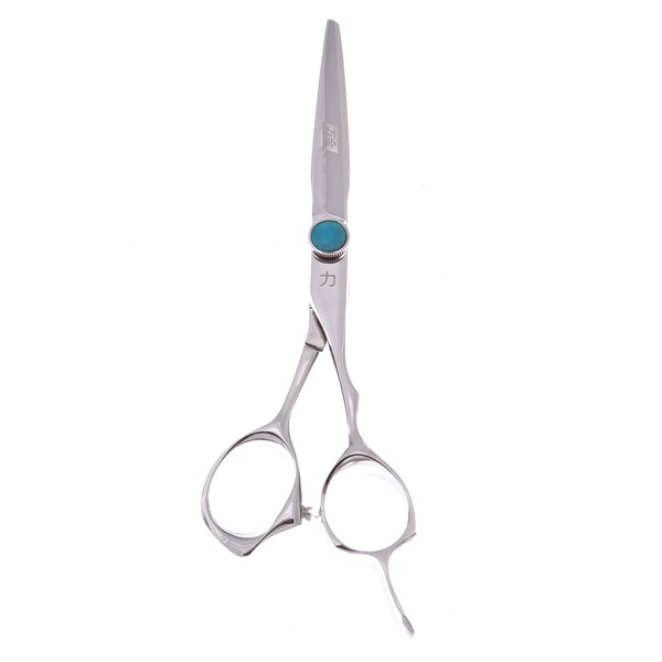 ShearsDirect Japanese Hitachi Premium ATS-314 Stainless Professional Shear, 5.5 Inch, 10 Ounce