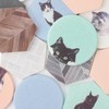 Jubilee Diatomaceous Earth Coasters Set of 2 Cat Pastel Color