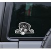 Rottweiler Dog Peeking Vinyl Sticker - for Water Bottle Car
