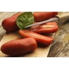 SAFLAX - Tomato - San Marzano - 10 Seeds -