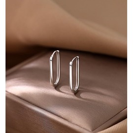 HUGE TOMATO Earrings 925 Silver for Women, Hoop Earrings Silver 925 Earrings for Women Earrings Hanging Earrings Silver 925, Sterling Silver, No Gemstone