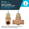 Cash Acme EB45 Pressure Regulating Valve, 1 Inch NPT Threaded,