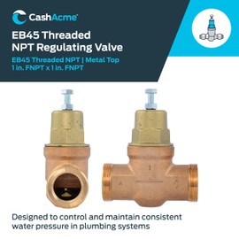 Cash Acme EB45 Pressure Regulating Valve, 1 Inch NPT Threaded, Metal Top, 60 PSI, PVA20M-DTH-60