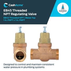 Cash Acme EB45 Pressure Regulating Valve, 1 Inch NPT Threaded, Metal Top, 60 PSI, PVA20M-DTH-60
