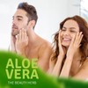 Aloe Life SG Mist Gel, 4 Ounce
