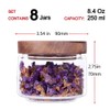 Tzerotone 8 Pcs Spice Containers - 8.5oz Glass Spice Jars