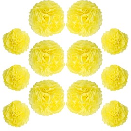 Ruidee Pack of 12 Tissue Paper Pompoms 10 in and 12 in Paper Flower Ball Decorative Paper Kit Paper Flowers Pom Poms for Weddings, Birthdays, Party Decorations (ZH/Yellow)