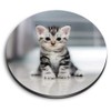 1 x Round MDF Magnet - Grey Tabby Bengal Pet