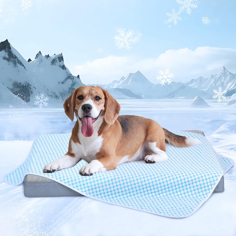 ZAKAPAWS Chicute Premium Cooling Blanket for Large Dogs - Breathable
