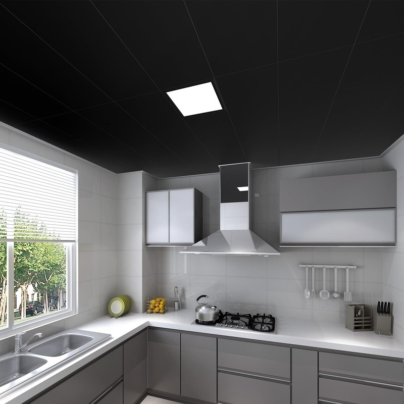 Toemics Drop Ceiling, 12 Pack Ceiling Tile 2ft x 4ft