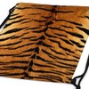 style3 Tiger Fur Pattern Print Back Backpack Bag Gym Bag