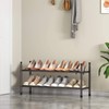 TZAMLI 2-Tier Shoe Rack for Closet, Expandable and Stackable Shoe