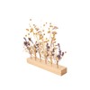 Rayher Wooden strip with 11 holes, FSC 100%, 22.5 x
