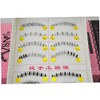 Mikinona False Eyelashes Mix Set 10 Pairs Natural Comfortable Your