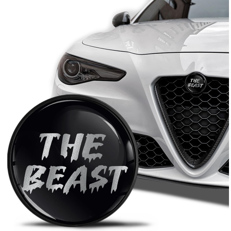 SkinoEu Compatible with Alfa Romeo Front Bonnet Badge Rear Boot