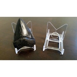 *25 Adjustable 2" Display Stand Easel Megalodon Shark Tooth Teeth