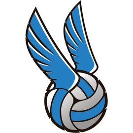 Zirni Cartoon Illustration Volleyball Ball Wings Sport Sticker Decal Design