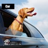 Car Emblem: Dog Car Badge Laser Cutting Emblem Cool Decals