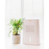 Crane Compact Dehumidifier for 300 Sq Ft Rooms, 0.5 Gallon