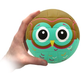 Molten Mini Volleyball