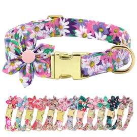 Beirui Cute Girl Dog Collars for Small Medium Large Dogs, Multiple Floral Patterns Female Pet Dog Collars with Flower for Wedding Holiday(S:Neck 14-19", Hot Pink)