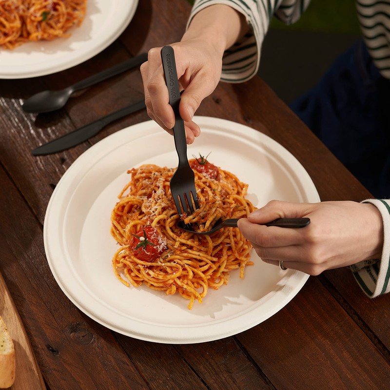 HAAGO PLA Cutlery - Eco-Friendly, Heavy Duty Cutlery for Parties,