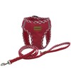 Aiminto Denim Dog Harness & Leash Set, Breathable Mesh, Lightweight,