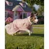 KUDES Valentine's Day Dog Collar - 20mm Chunky Bubblegum Pink