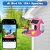 Bird Feeder with Camera - 4K HD Live View, Smart