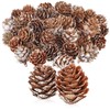 com-four® 50 x Decorative Cones Larch - Scatter Decoration for
