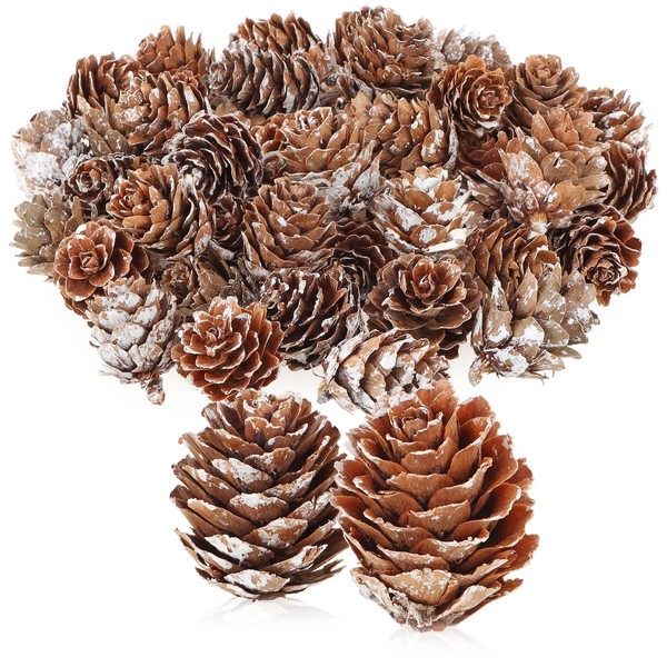 com-four® 50 x Decorative Cones Larch - Scatter Decoration for