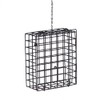 Birds Choice Suet Cage Feeder, Holds 1 Suet Cake |