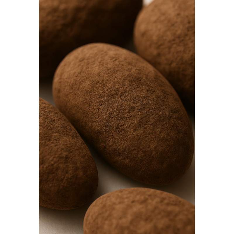 Espresso Dark Chocolate Cocoa Brazil Nuts 16 oz Bag
