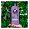 Herbal Essences Acondicionador Herbal Essences Anti-frizz Lavanda & Almendras 400ml