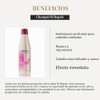 Salerm Hi Repair Shampoo 9.0 oz (250 ml)
