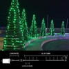 LAMPHOME 66ft St Patrick's Day Decorations String Lights,200 LED Green