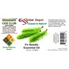 Essential Depot Fir Needle Essential Oil - GC/MS Tested -