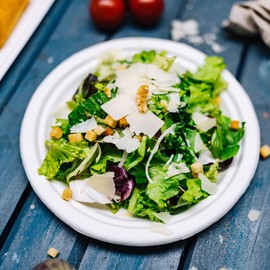 GREENBOX Environmentally Friendly Bagasse Tableware, Disposable, Pack of 50 Sugarcane Plates, White, Round, Bleached, 22 cm, Organic Disposable Tableware, Dinner Plates, Disposable Plates, Party