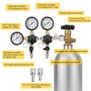 FERRODAY Two System CO2 Regulator, Dual Output CGA-320 CO2 regulator