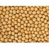Premium Grade Non-GMO Soybeans (5 Pounds) - Great for Soy