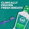Tom's of Maine Natural Wicked Fresh Alcohol-Free Mouthwash, Cool Mountain