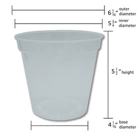 Overgrown Home 3/4/5/6 Inch Clear Nursery Pots Pack - 2 of Each Size, 8 Total Clear pots for Plants