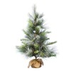 Vickerman 36" Frosted Myers Pine Artificial Christmas Tree, Unlit -