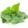 Outsidepride New Zealand Spinach - 200 Seeds