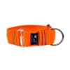 Martingale Collar Nude Neon Orange 4cm Extra Large