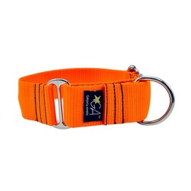 Martingale Collar Nude Neon Orange 4cm Extra Large
