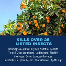 BioAdvanced Fruit & Citrus Tree, Concentrate, 32 oz