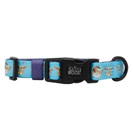 Sassy Woof Dog Collar Star Wars™ The Mandalorian™ - M, Adjustable, Durable, Comfortable and Stylish Pet Accessories for Small Dogs